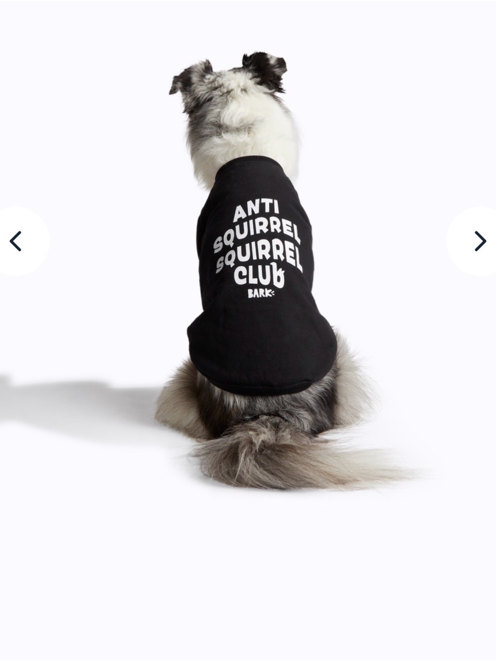 BARK Anti Squirrel Club Black Dog Shirt